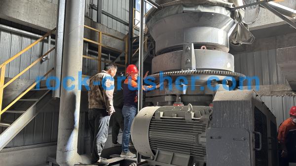 coal crushers types in power plant coal crushers types in power plant